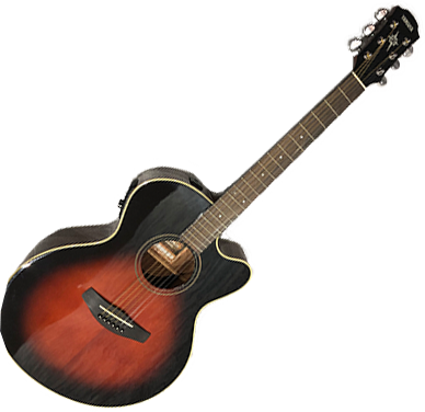 instrument guitar
